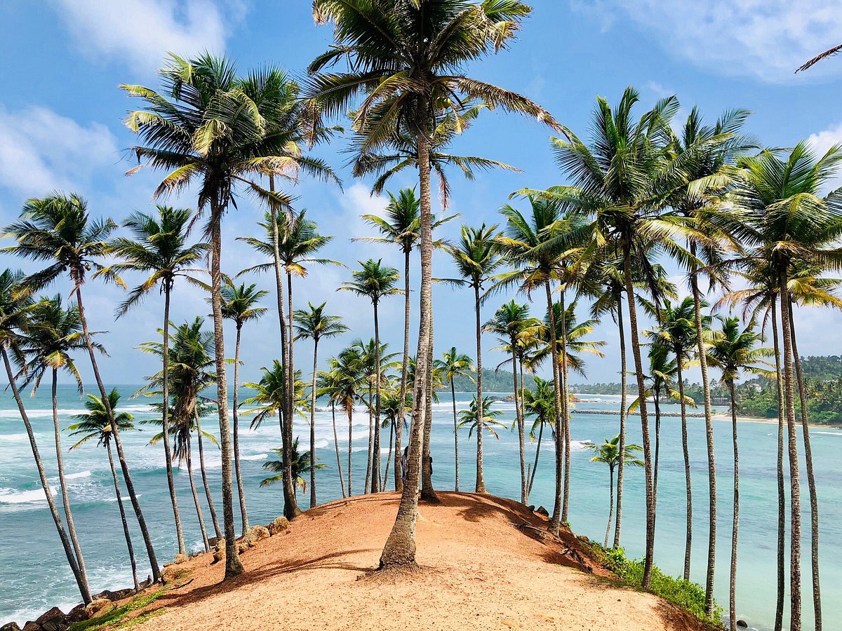 coconut-beach.jpg