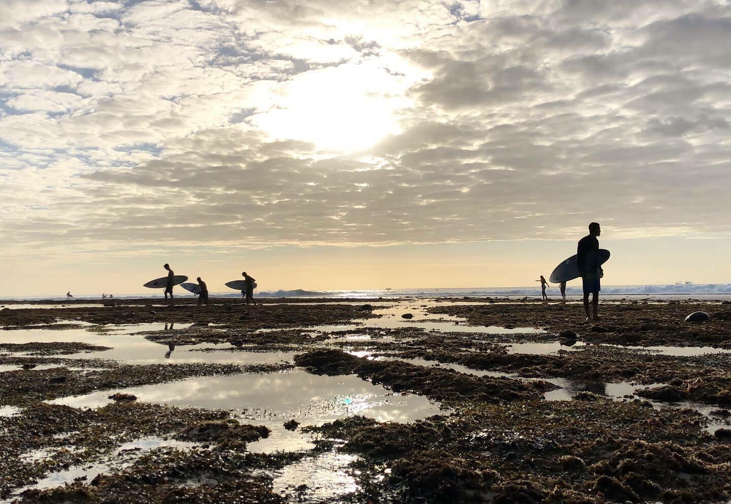 silhouette-of-people-holding-surfboards-on-beach.jpg